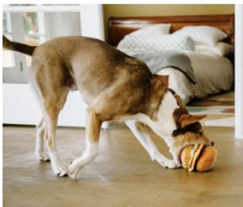 Burger Plush Dog Toy