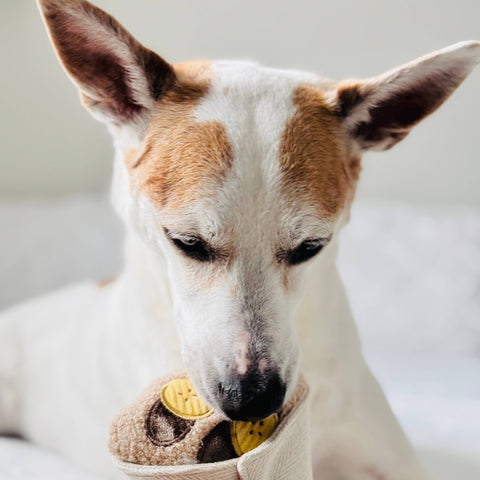 CREPE // ENRICHMENT DOG TOY // SNUFFLE TOY