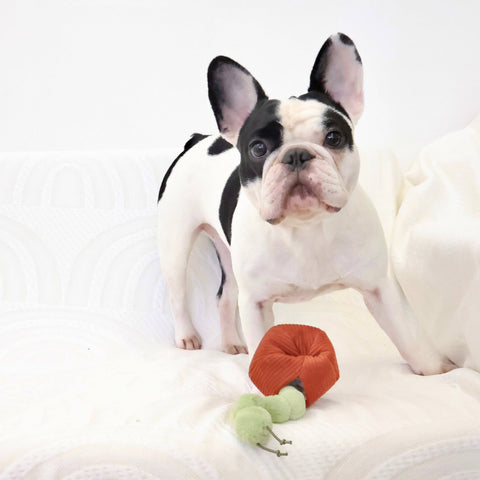 APPLE // ENRICHMENT TOY SET// SNUFFLE + BURROW