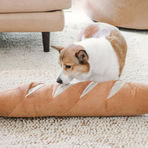 GIANT BAGUETTE // ENRICHMENT DOG TOY // Snuffle + Cuddle Toy