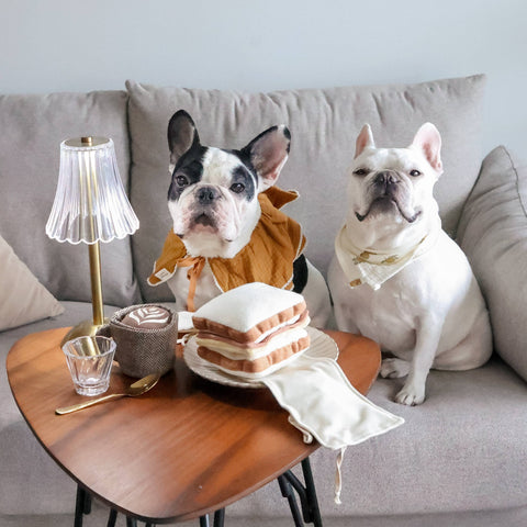 LATTE POP // ENRICHMENT DOG TOY // Squeaky Ball
