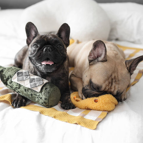 FROMAGE//ENRICHMENT DOG TOY