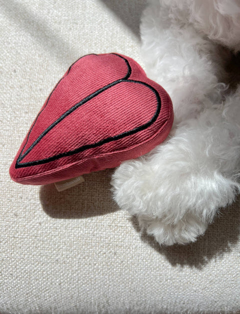 PICASSO // ENRICHMENT DOG TOY // Snuffle Set