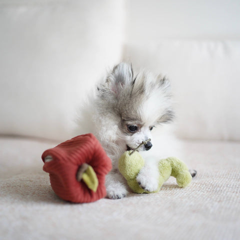 APPLE // ENRICHMENT TOY SET// SNUFFLE + BURROW