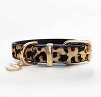 Kenya Leopard Dog Collar