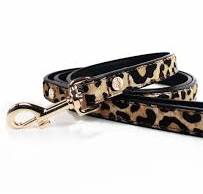 Kenya Leopard Dog Lead