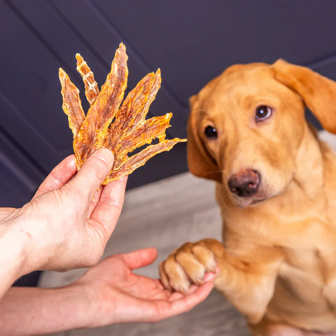 Duck Jerky