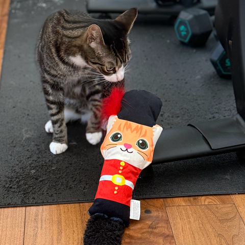 British Cat Guard Kicker Toy