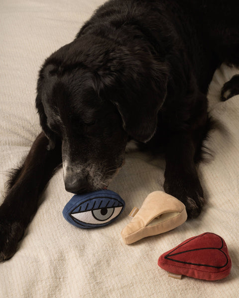 PICASSO // ENRICHMENT DOG TOY // Snuffle Set