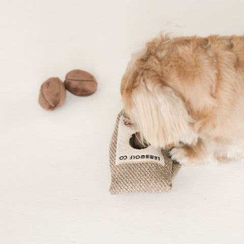 Coffee Beans // ENRICHMENT DOG TOY // Squeaky + Snuffle