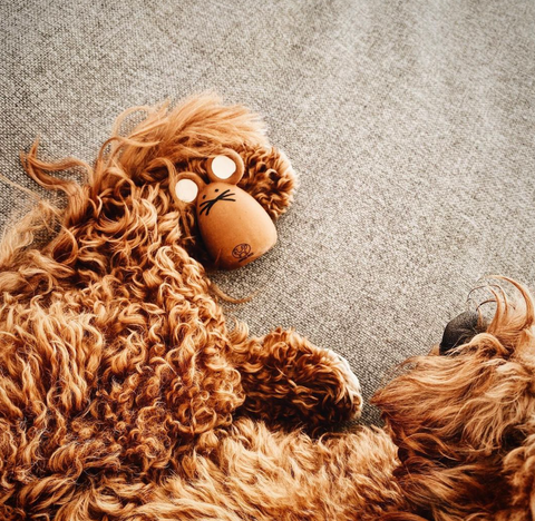 Tato latex toy for dogs and cats
