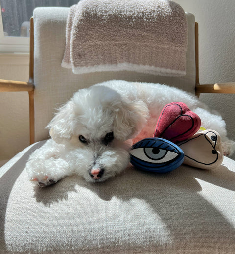 PICASSO // ENRICHMENT DOG TOY // Snuffle Set