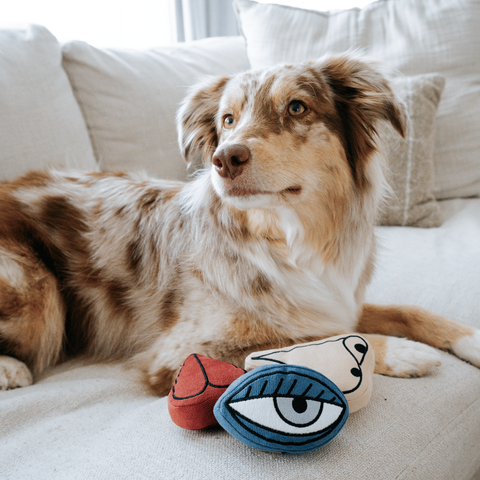 PICASSO // ENRICHMENT DOG TOY // Snuffle Set