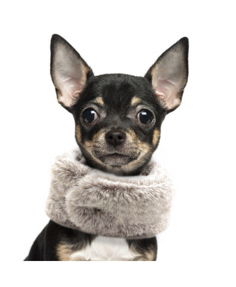 Sacha Faux Fur Snood