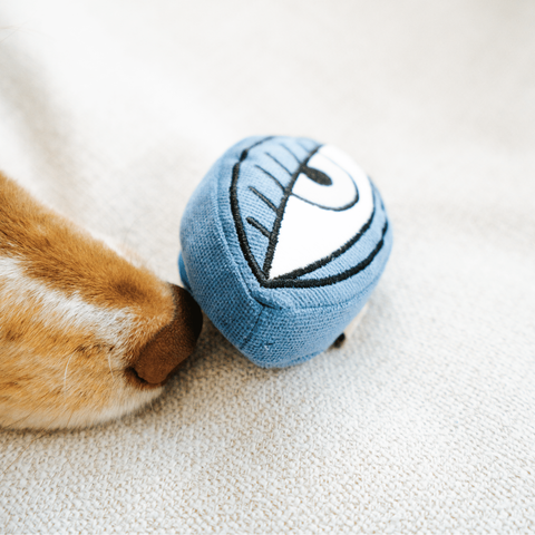 PICASSO // ENRICHMENT DOG TOY // Snuffle Set