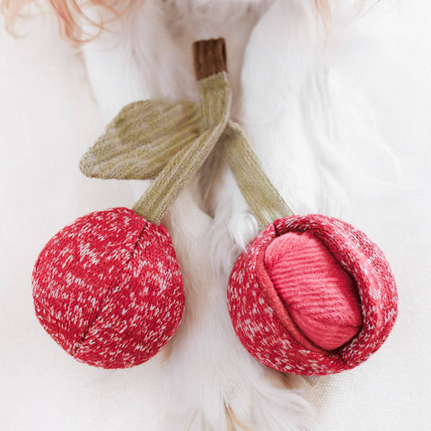 CHERRY POP // ENRICHMENT DOG TOY // Squeaky + Snuffle