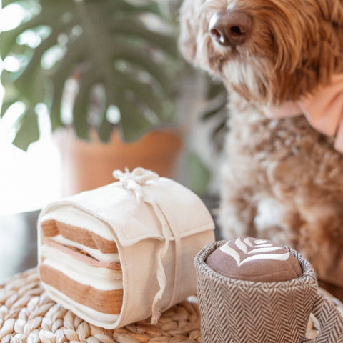 HAM & CHEESE/ ENRICHMENT TOY SET// SNUFFLE TOY