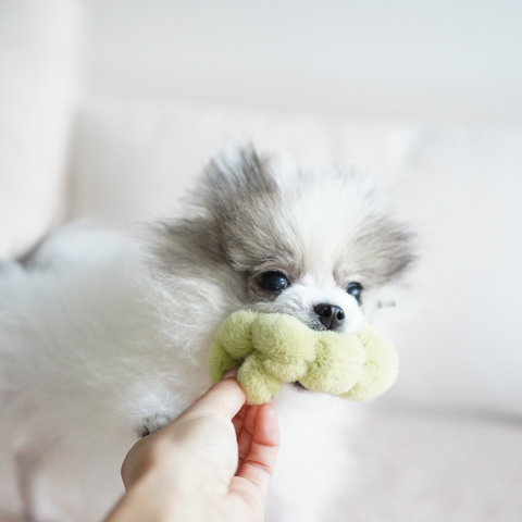APPLE // ENRICHMENT TOY SET// SNUFFLE + BURROW