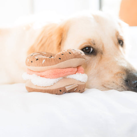 Bagel + Pickle Snuffle & Squeaky Dog Toy Set