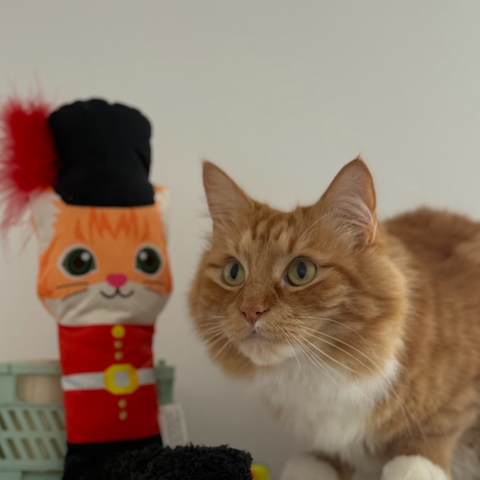 British Cat Guard Kicker Toy