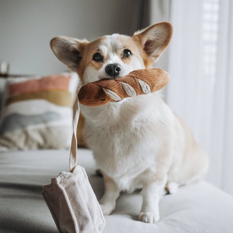MINI BAGUETTE // ENRICHMENT DOG TOY // SNUFFLE TOY *Best*