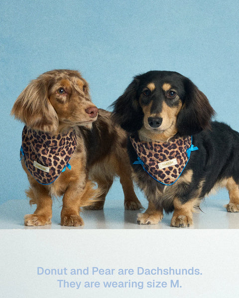 Leopard Print Bandana