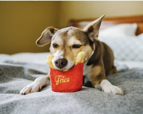 French Fries Plush Dog Toy