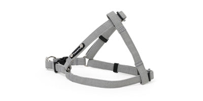 Grey Step in Harness