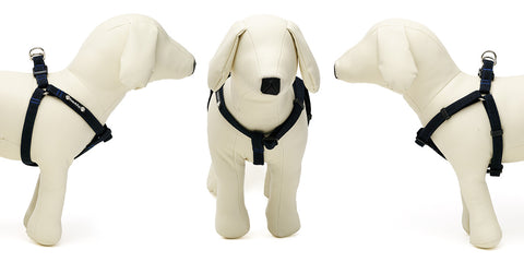 Grey Step in Harness