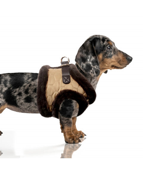 Monty Harness Jacket