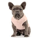 Colette Pink T-Shirt