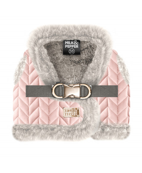 Janette Harness