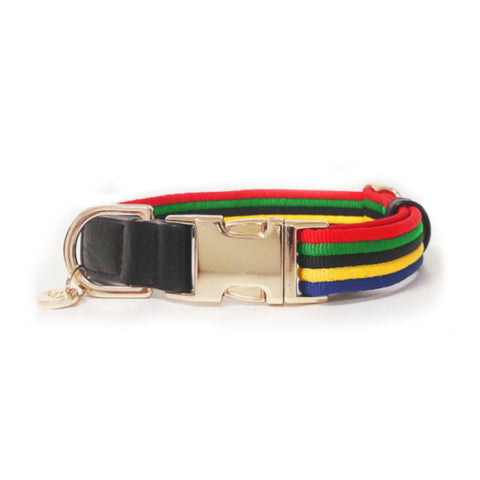 Olympic Multicolour Collar