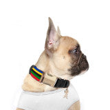 Paris Multicolour Collar