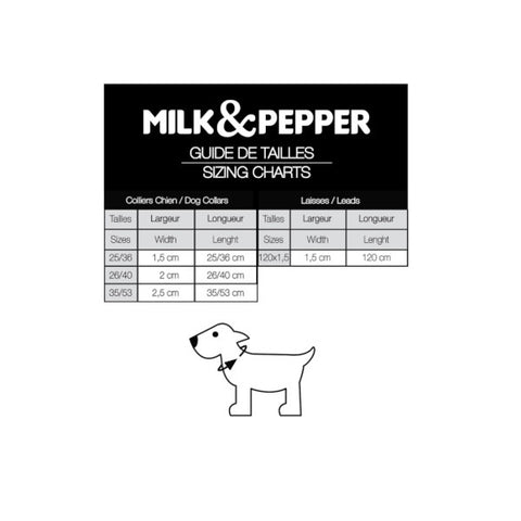 Paris Multicolour Collar