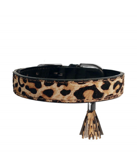 Ocelot Leopard Collar
