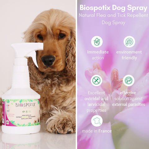 Biospotix Natural Flea & Tick Repellent Dog Spray