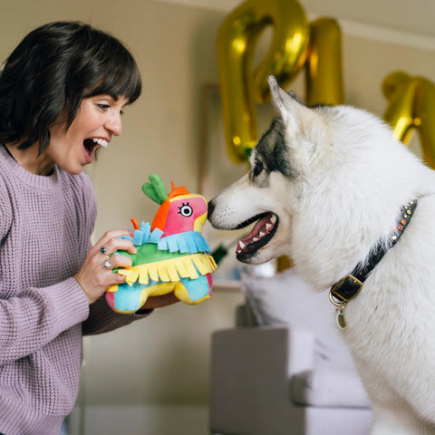 Fiesta Fetch Pinata - Party Animal Dog Toy
