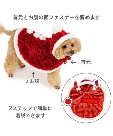 Santa Costume
