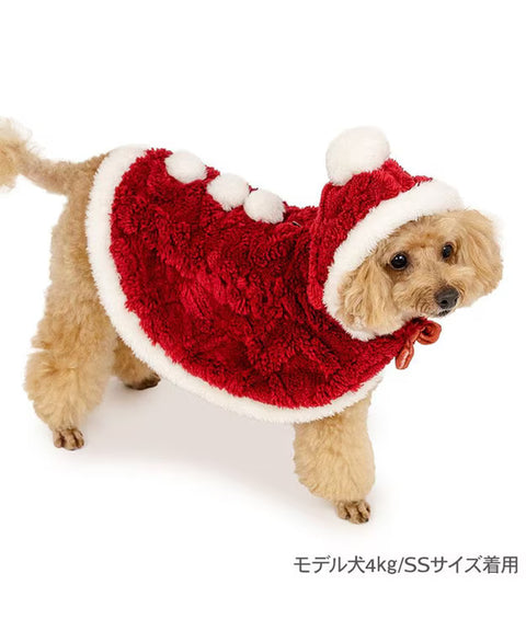 Santa Costume