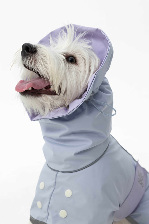 Heath Waterproof Windbreaker