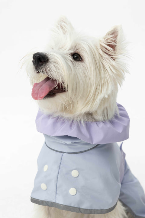 Heath Waterproof Windbreaker
