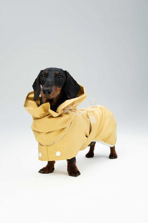 Heath Waterproof Windbreaker